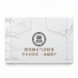 Zhengqi Qingzhuan Tea Bags / Traditional Tea Made Simple